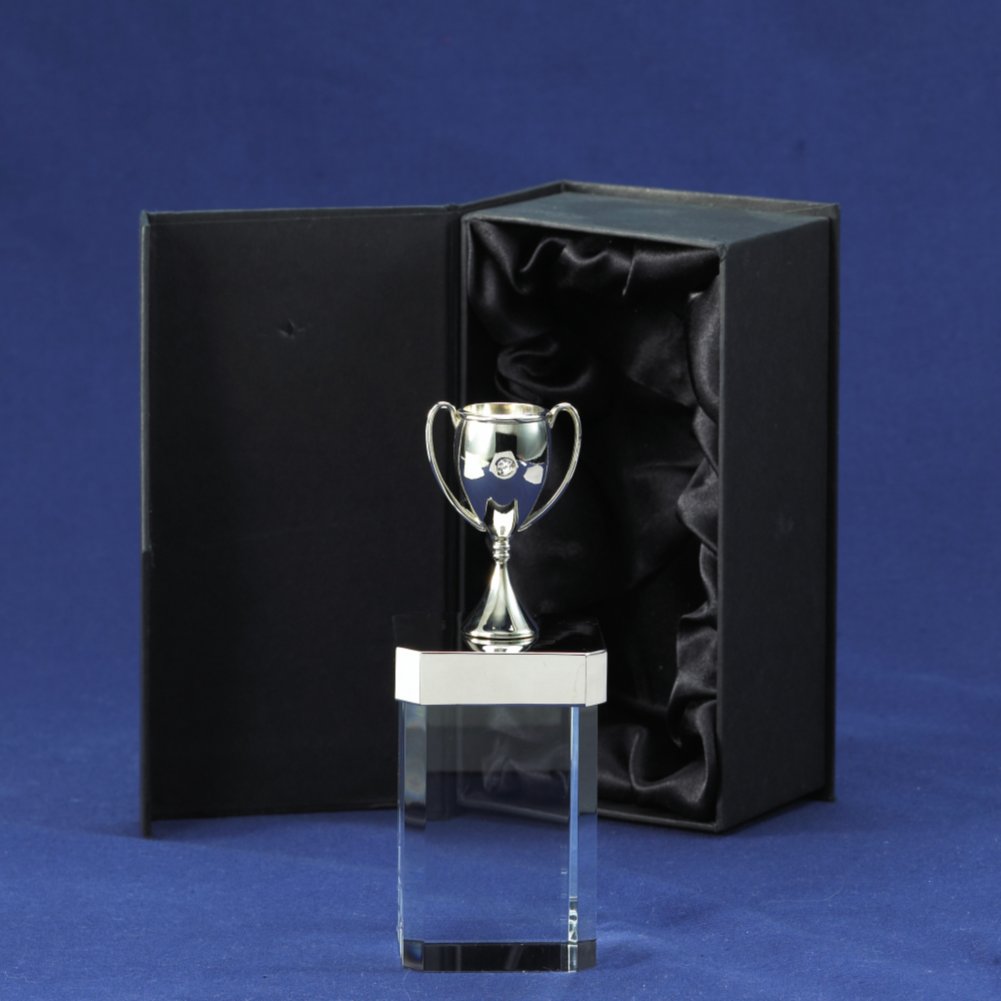 You're a Gem Trophy - Trophy Cup BOX