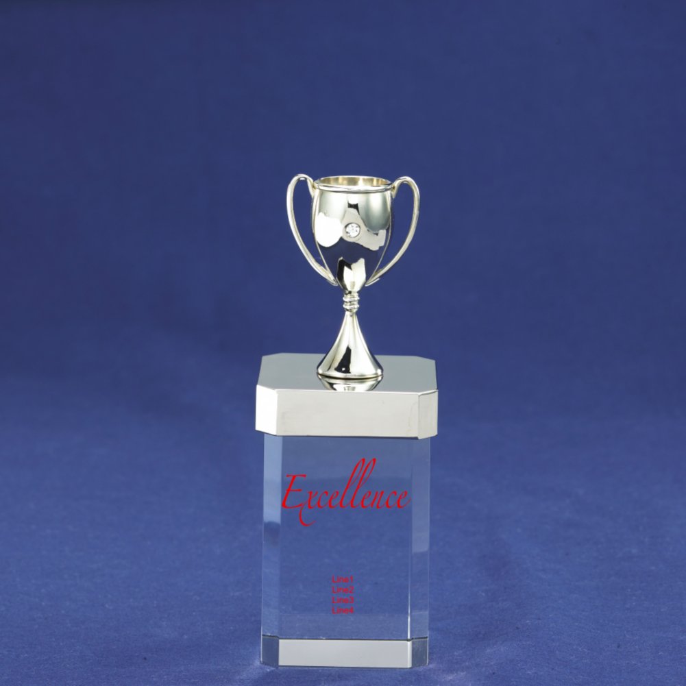 You're a Gem Trophy - Trophy Cup