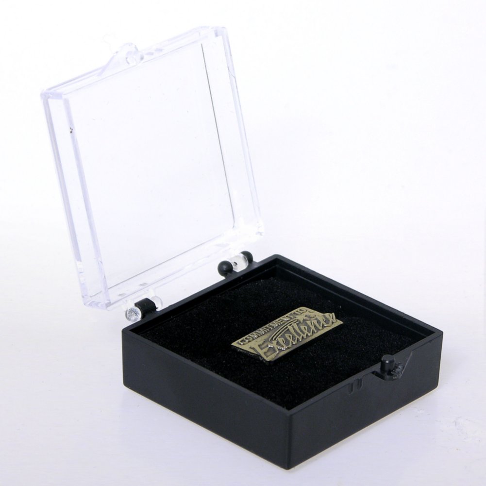 Lapel Pin - Commitment to Excellence BOX