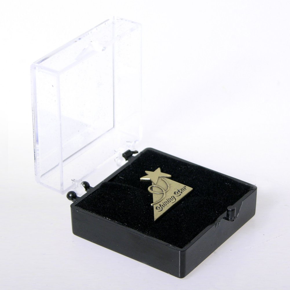 Lapel Pin - Cornerstone Shining Star BOX
