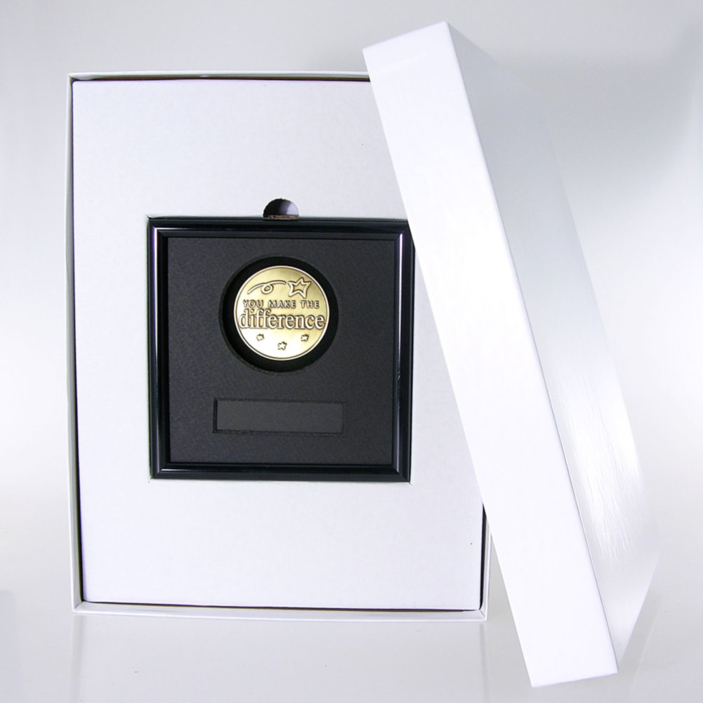 Framed Medallion - You Make the Difference BOX