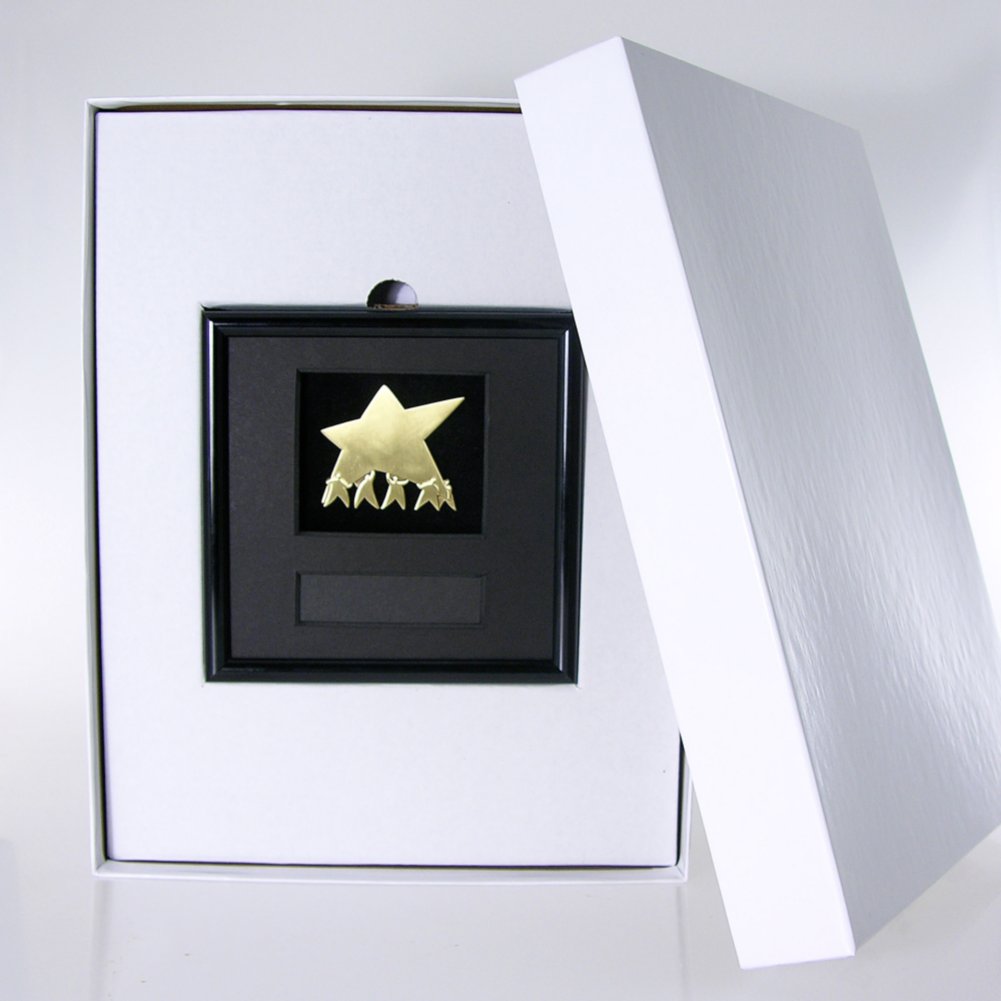 Framed Medallion - Team Results - Gold BOX