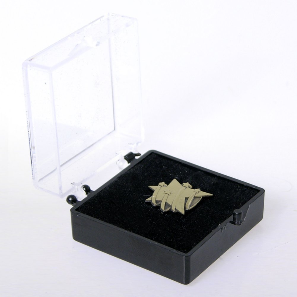 Lapel Pin - Stellar Performer BOX