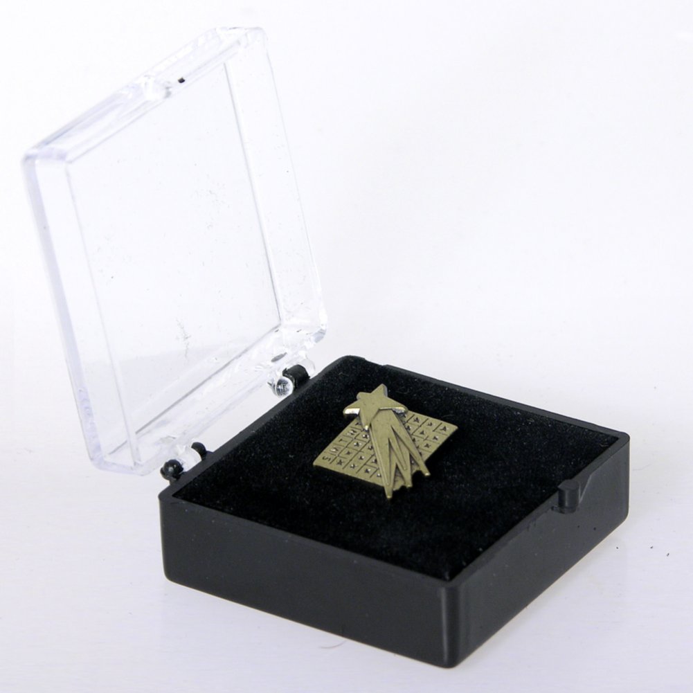 Lapel Pin - Perfect Attendance Chart BOX