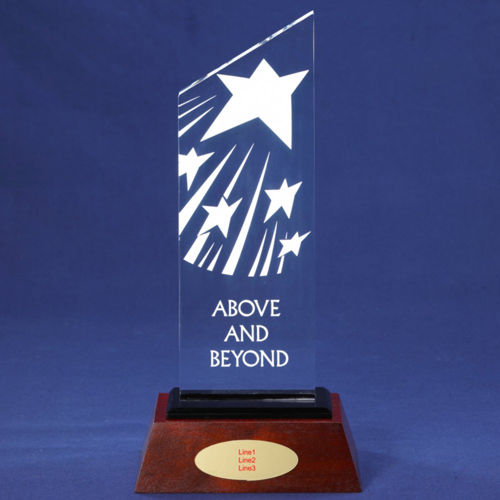Apex Award Trophy - Making the Difference