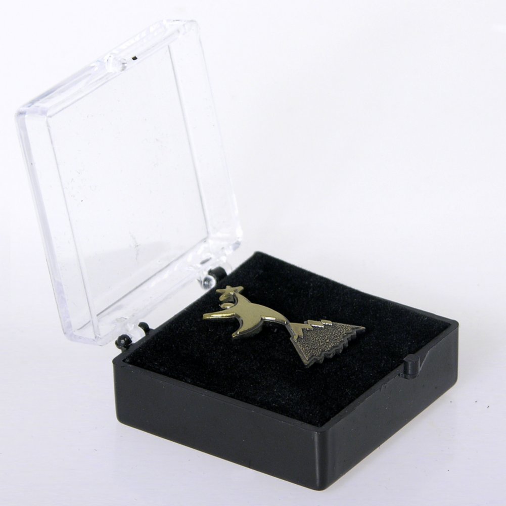 Lapel Pin - Peak Performer BOX