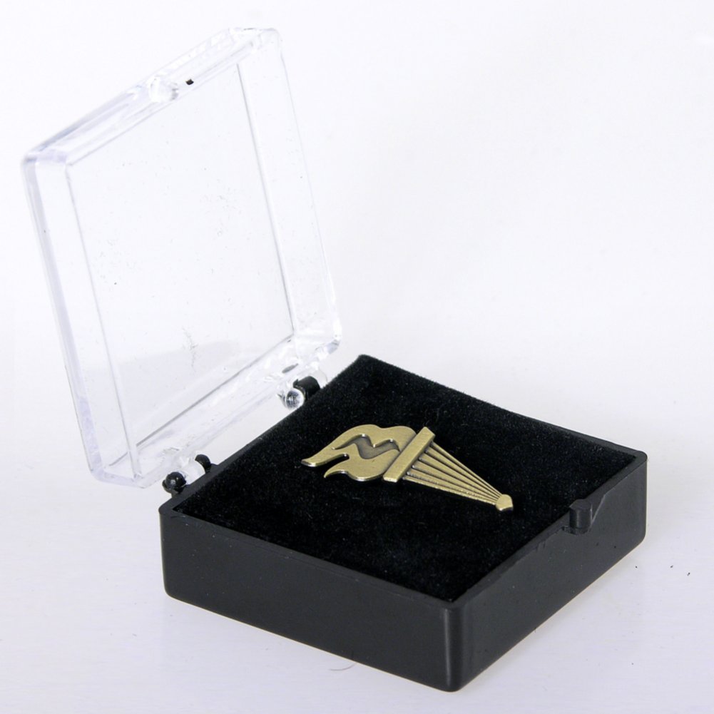 Lapel Pin - Torch of Achievement BOX