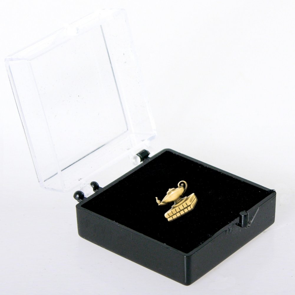 Lapel Pin - Academic Excellence - Lamp BOX