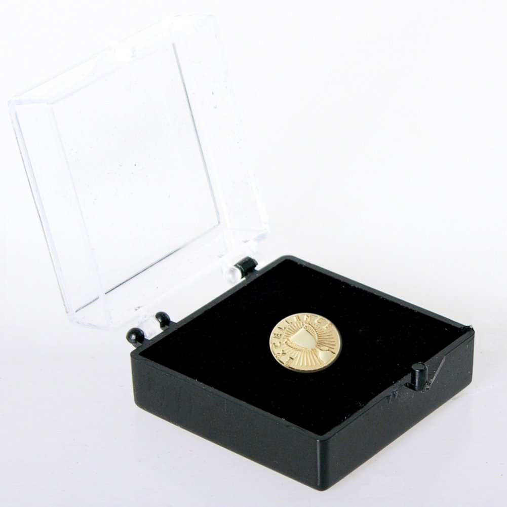 Lapel Pin - Excellence Cup BOX