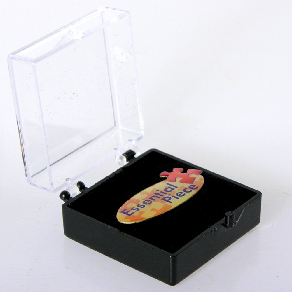 Lapel Pin - Essential Piece Title - Multi Color BOX
