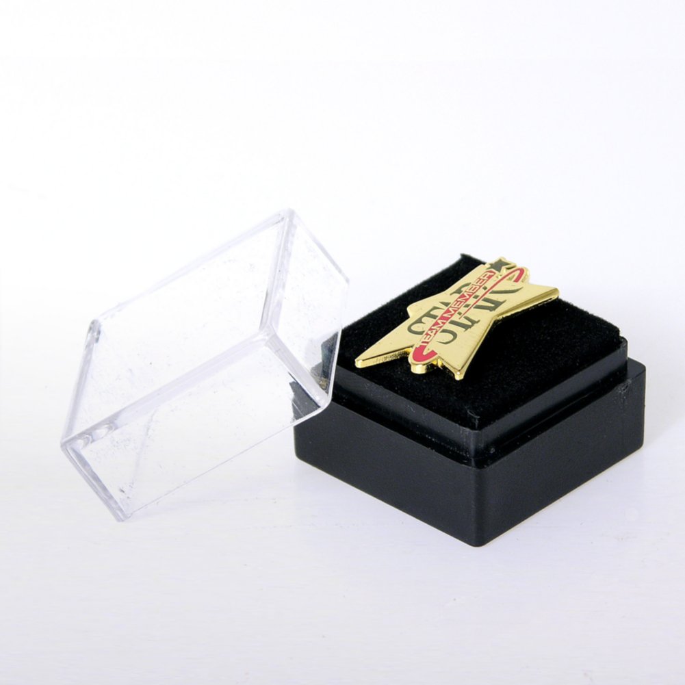 Lapel Pin - Star Team Member - Multi Color BOX