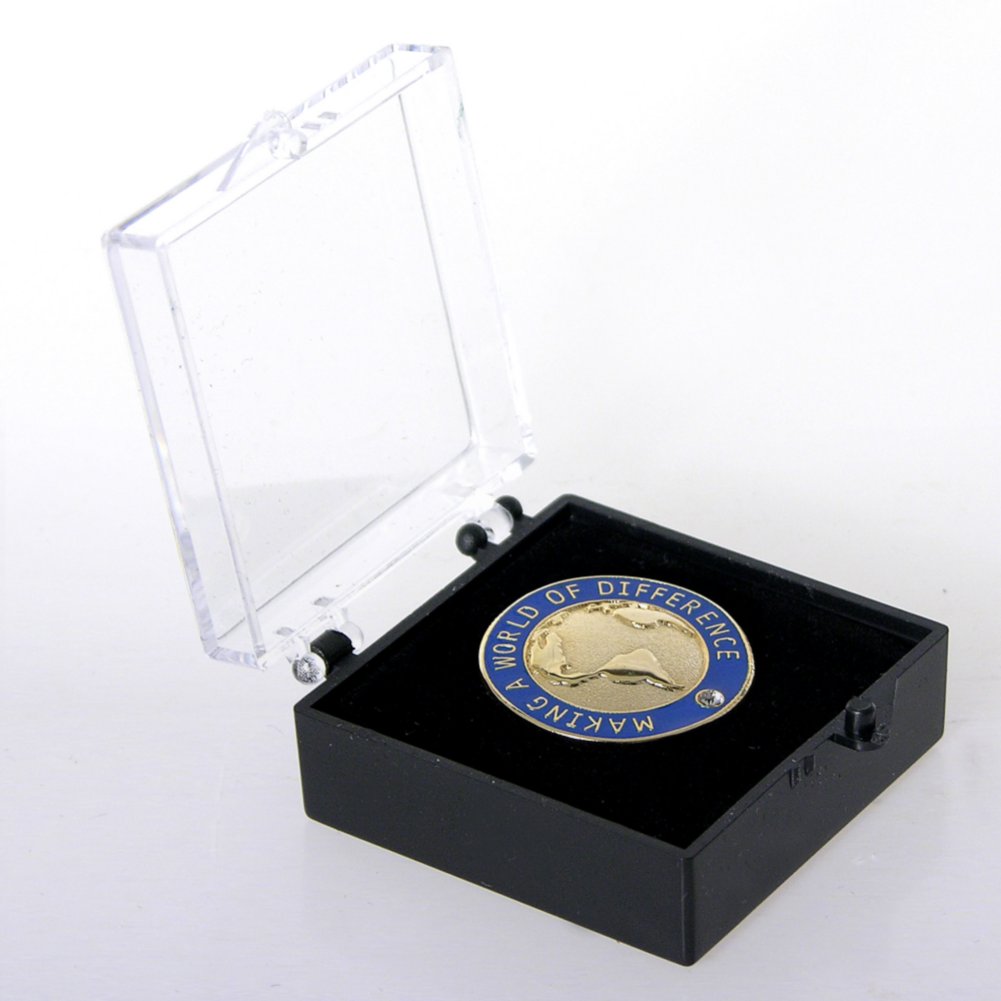 Lapel Pin - Making a World of Difference with Gem BOX