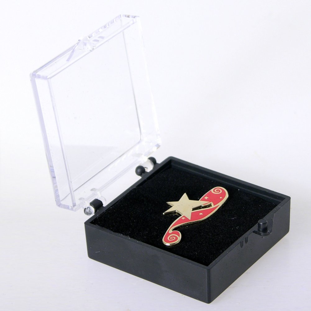 Lapel Pin - Red Carpet Star BOX