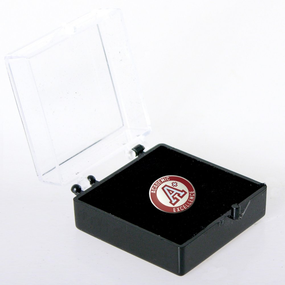 Lapel Pin - A+ - Academic Excellence BOX