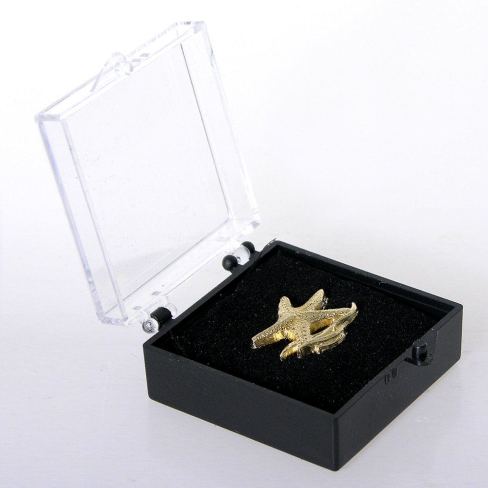 Lapel Pin - Starfish Waves BOX