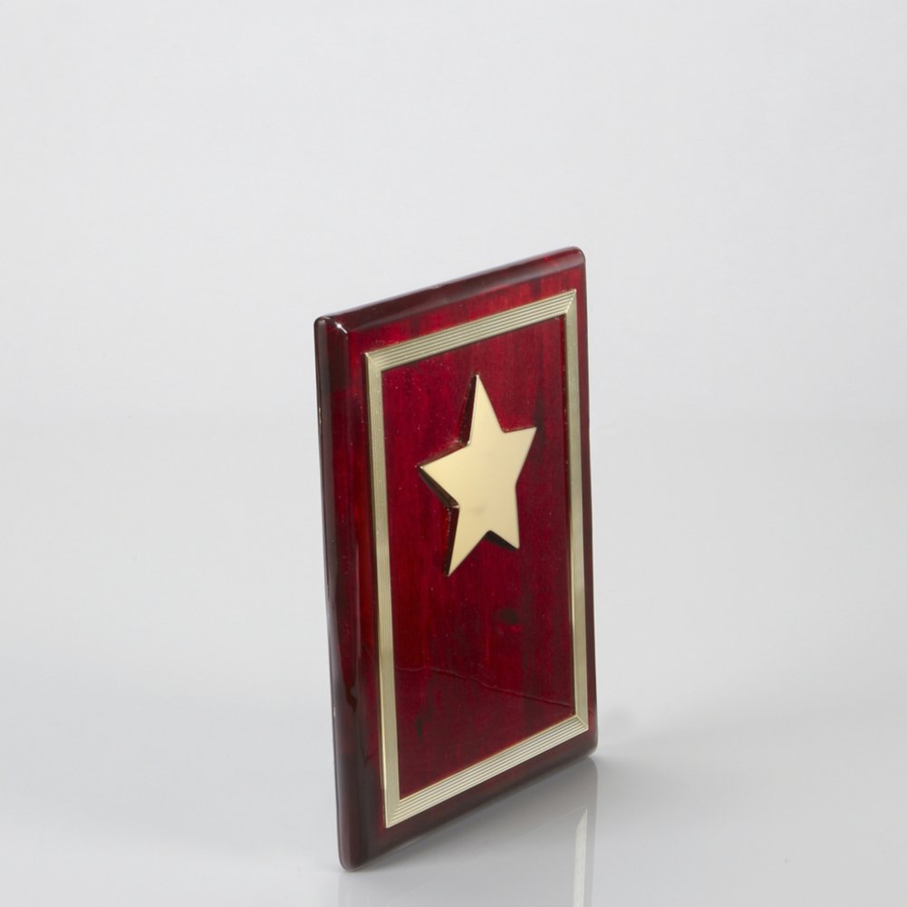 Gold Star Award Plaque SIDE