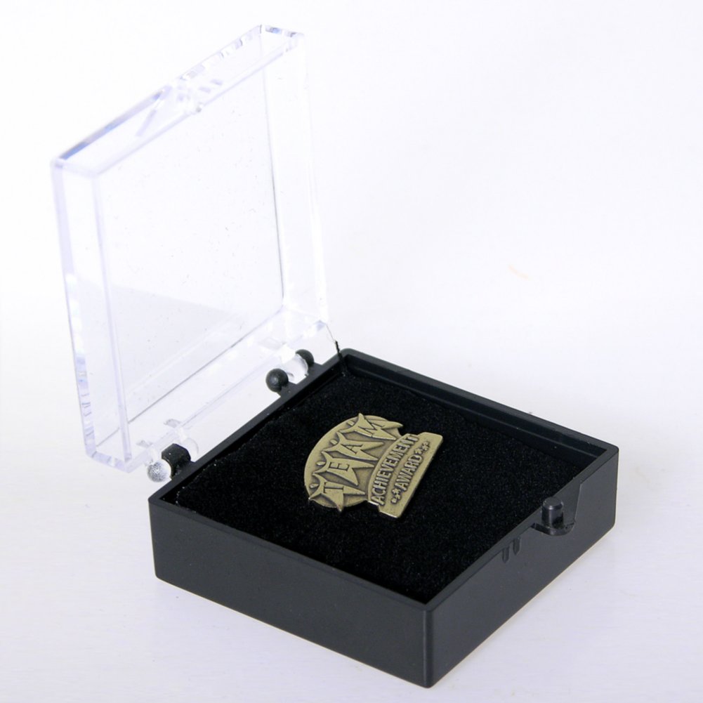 Lapel Pin - TEAM Achievement Award BOX