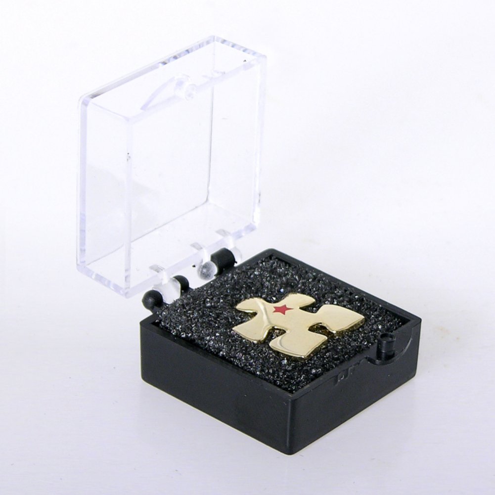 Lapel Pin - Essential Piece with Star BOX
