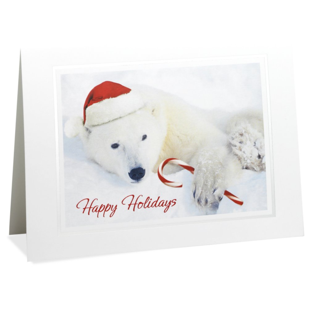 Holiday Greeting Card - Polar Bear with Candy Cane SIDE