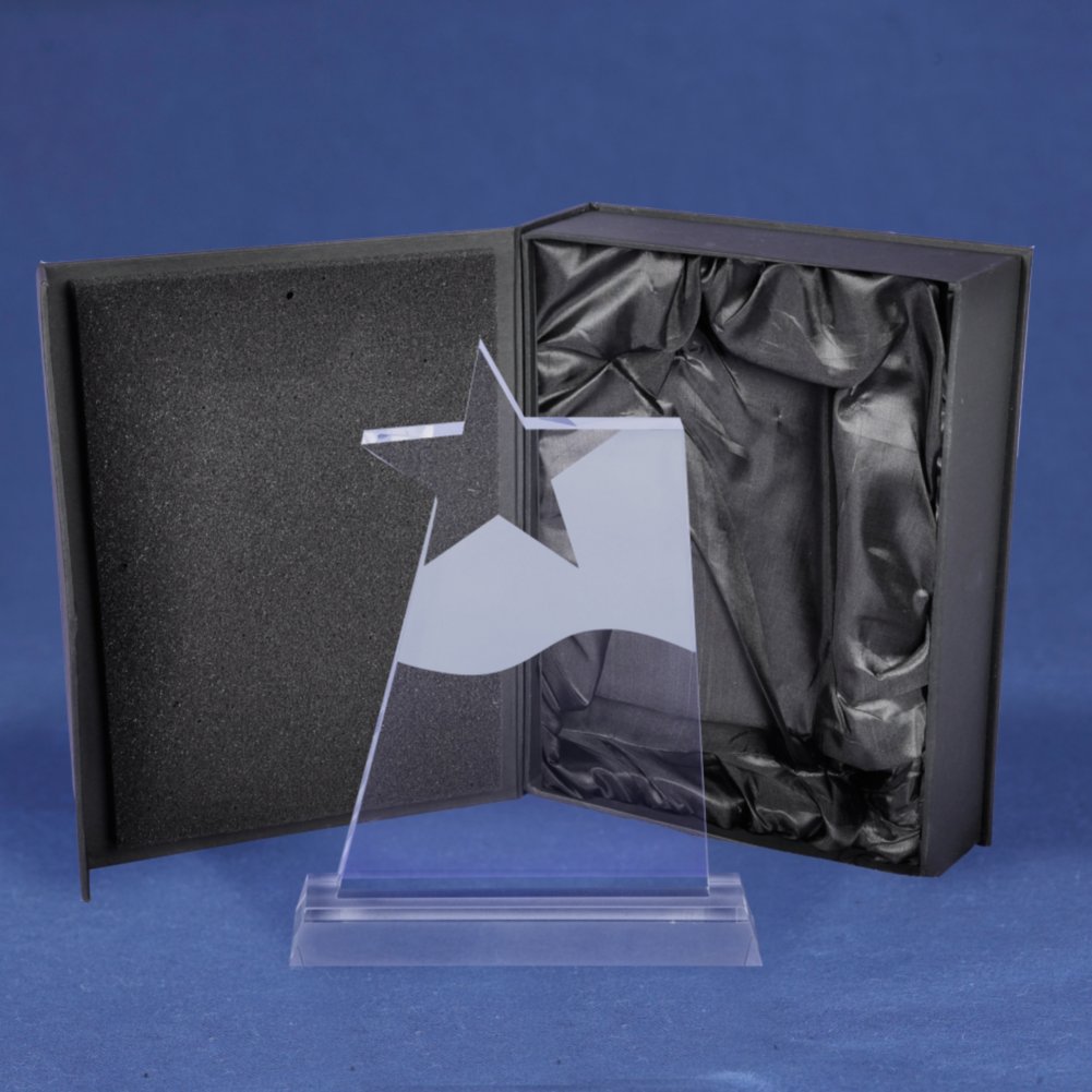 Frosted Crystal Star Trophy BOX