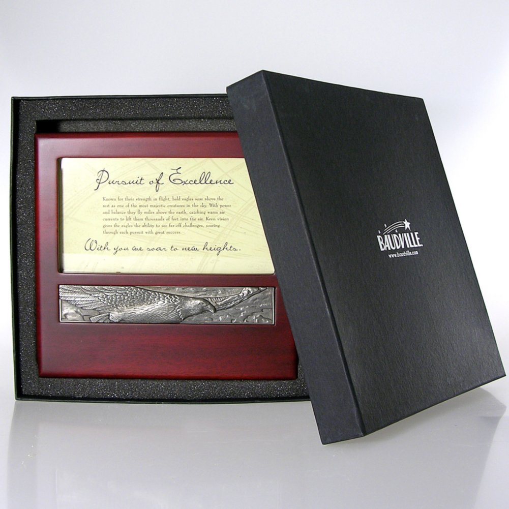 Character Impressions Trophy - Eagle: Pursuit of Excellence BOX
