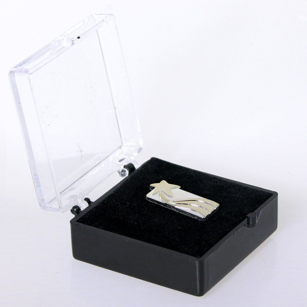Lapel Pin - Achieving Star BOX