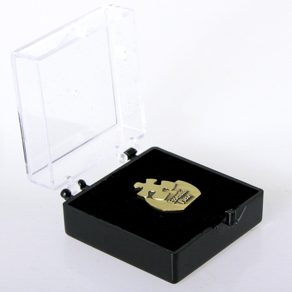 Lapel Pin - Eclipse - Essential Piece BOX
