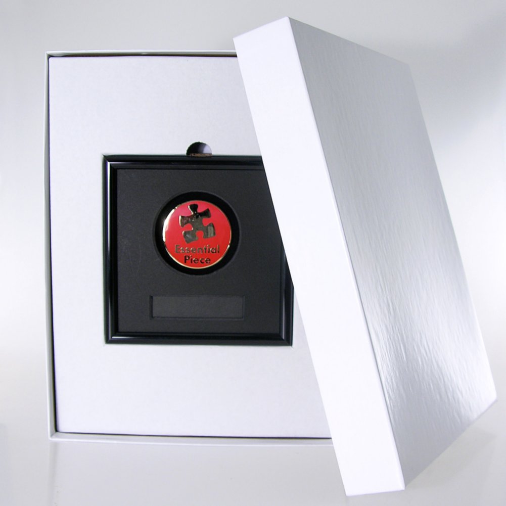 Framed Medallion - Essential Piece BOX