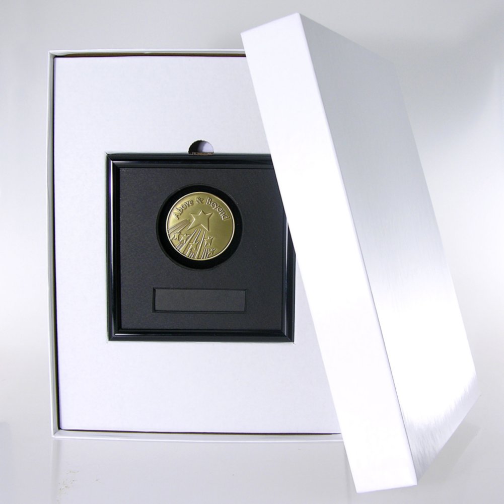 Framed Medallion - Above and Beyond BOX