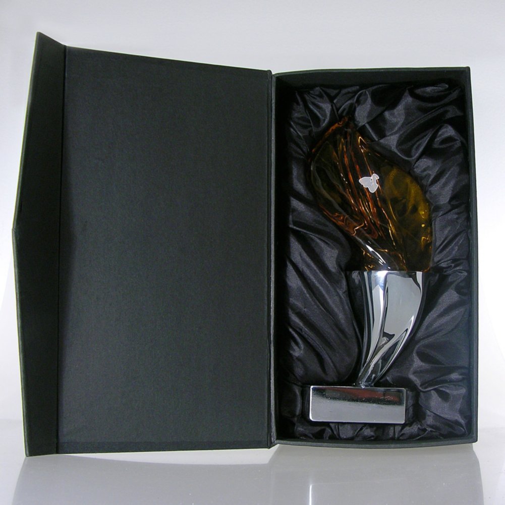 Elite Time to Shine Trophy - Torchlight BOX