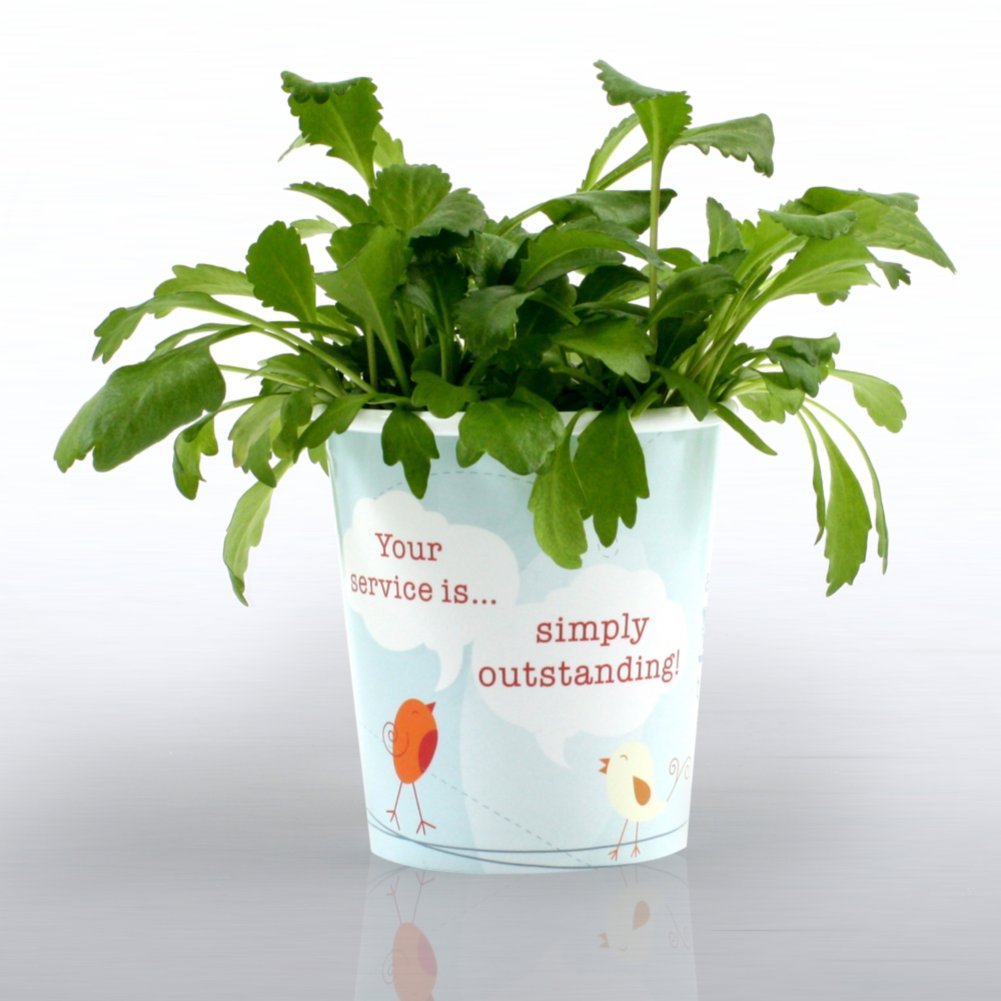 Desktop Fun Plant - Outstanding Service