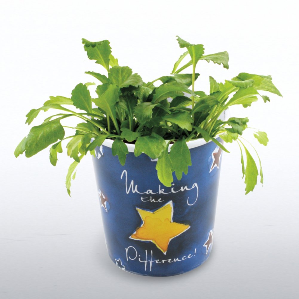 Desktop Fun Plant - Making the Difference