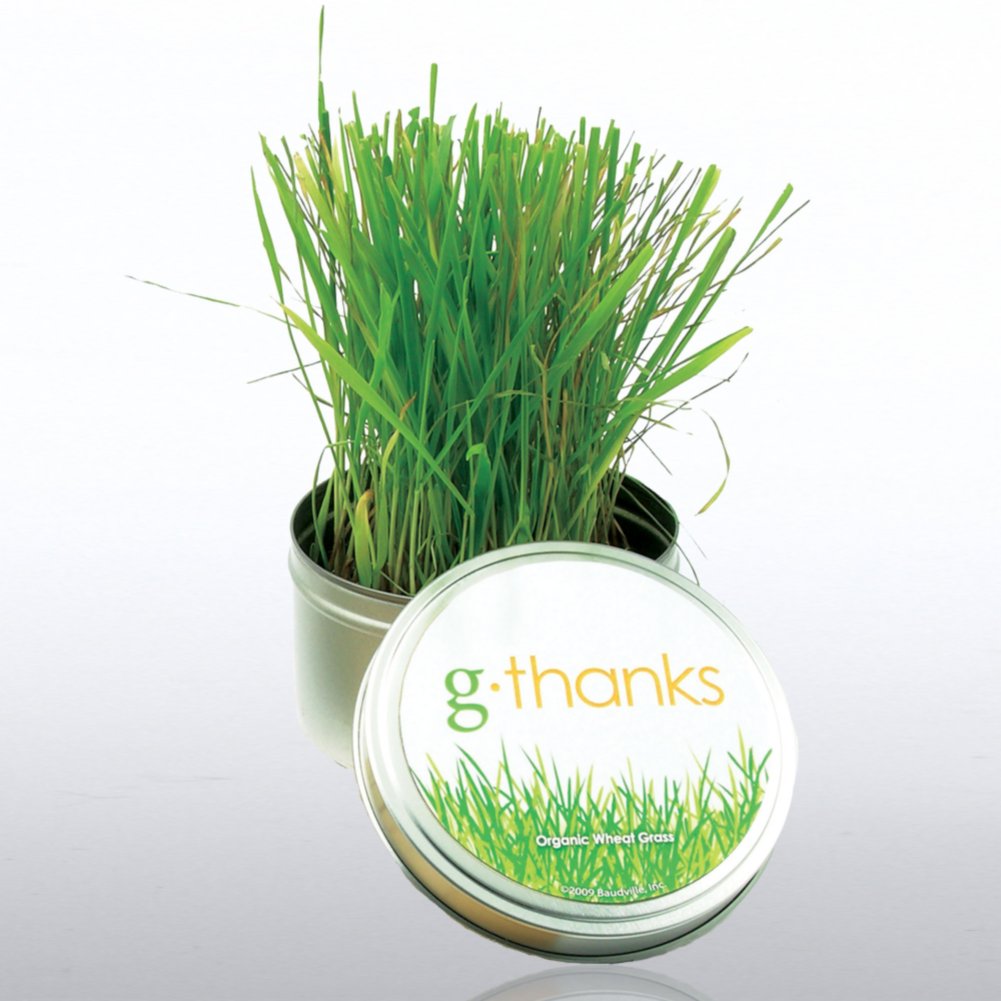g-thanks - Grass Kit