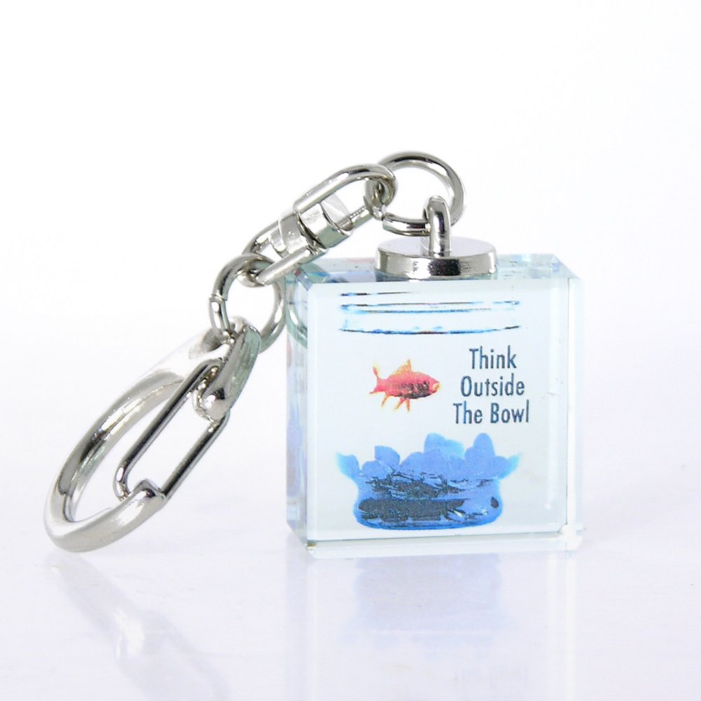 Art Cube Key Chain - Fish - Think Outside the Bowl