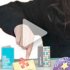 Recognition Pocket Praise