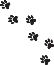paws