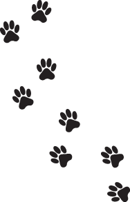 paws