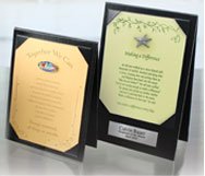 Pin Display & Presentation