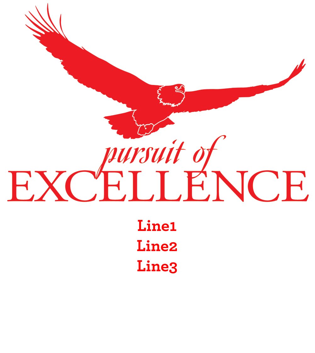 Pursuit of Excellence