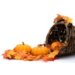 Five Thanksgiving Staff Appreciation Ideas