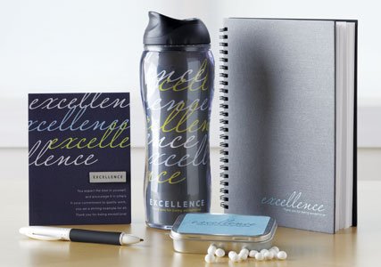 Excellence recognition theme