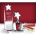 Three Ways to Honor Recognition Award Winners at End of Year
