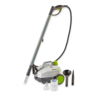portable steam weeder