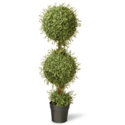 National Tree 48-Inch Mini Tea Leaf Double Ball Topiary ...