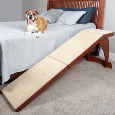 bed bath beyond dog steps