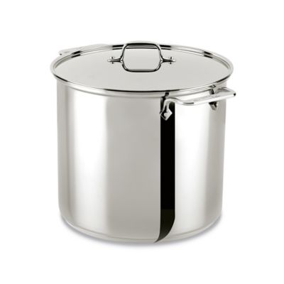 All-Clad® Stainless Steel 16 Qt. Covered Stock Pot - Bed Bath & Beyond