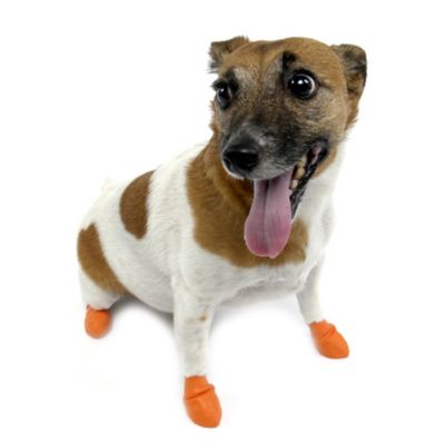 Pawz Size XS Dog Boots - Bed Bath & Beyond