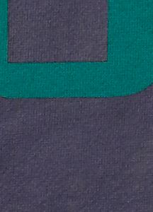Logo Vertical Pullover Hoodie