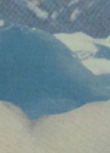 Sunnyside Short Sleeve Slim Fit T Shirt