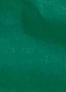 Women's Cache Premium T Shirt
